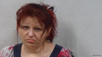 Pamela Susan Sampson Mugshot