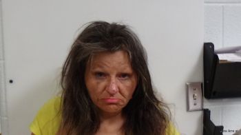 Pamela Susan Sampson Mugshot