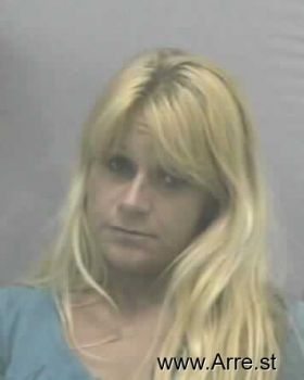 Pamela Ann Schlichting Mugshot