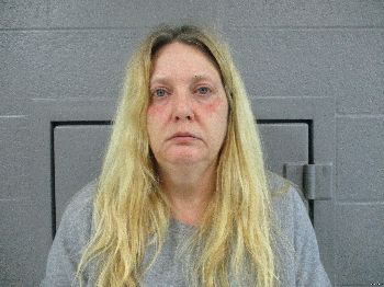 Patricia Lynn Johnson Mugshot