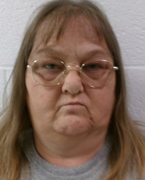 Patricia Ann Shears Mugshot