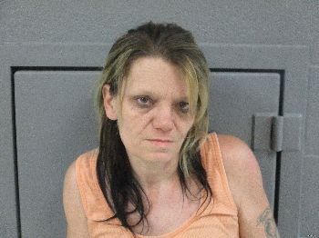 Paula Lillie Sisler Mugshot