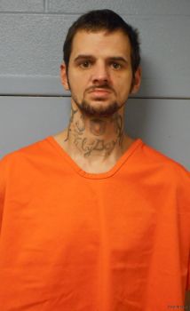 Randy Lee, Jr. Lewis Mugshot