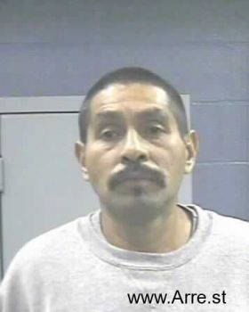 Raul  Herrera-garcia Mugshot