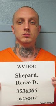 Reece Dillon Shepard Mugshot