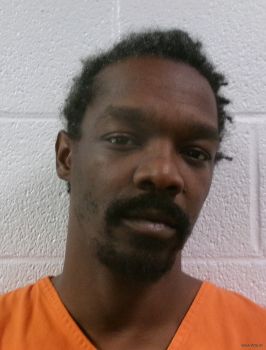 Robert Dewayne Lane Mugshot