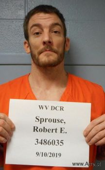 Robert Edward Sprouse Mugshot