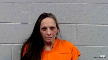 Roberta Lynn Mckinney Mugshot