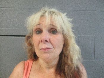 Robin Denise Arbogast Mugshot