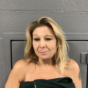 Robin Denise Arbogast Mugshot