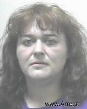 Robin Marie Farmer Mugshot