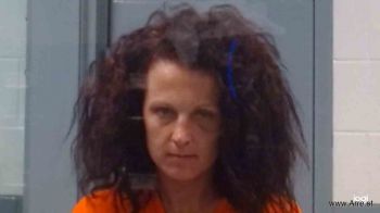 Ronda Lynn Patrick Mugshot