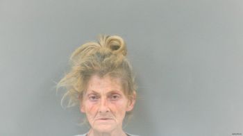 Ruthie Gail Blankenship Mugshot