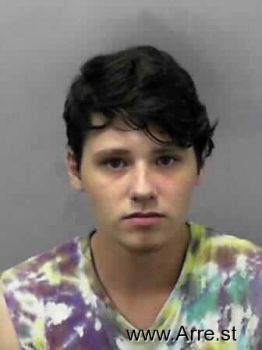 Ryan Matthew Linn Mugshot