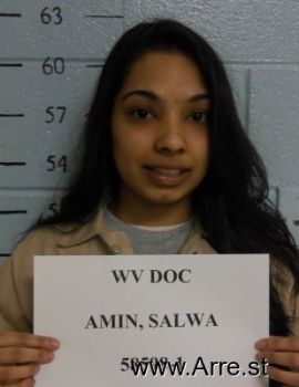 Salwa  Amin Mugshot