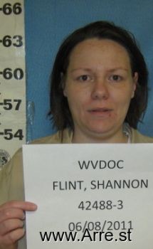 Shannon M Flint Mugshot