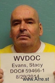 Stacy N Evans Mugshot