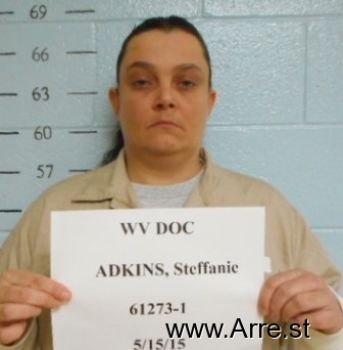 Steffanie R Adkins Mugshot