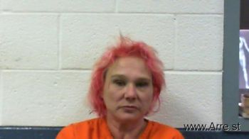 Sandra Lynn Adkins Mugshot