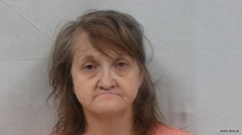 Sandra Michelle Miller Mugshot