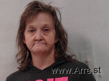 Sandra Michelle Miller Mugshot