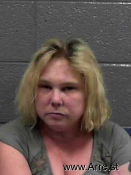 Sandra Lynn Adkins Mugshot