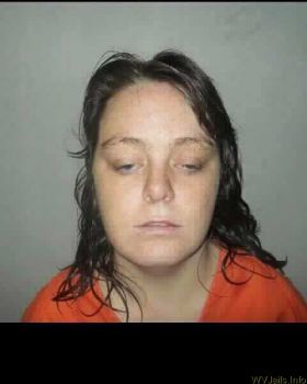 Sara Ann Combs Mugshot