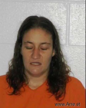 Sara Jolyn Mullins Mugshot