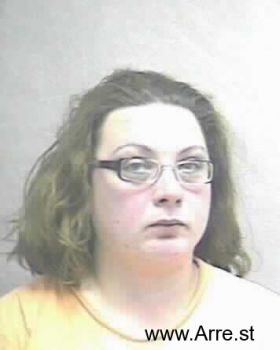 Sara Dawn Turner Mugshot