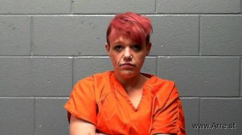 Sarah Dawn Fields Mugshot