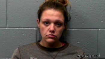 Sarah Dawn Fields Mugshot