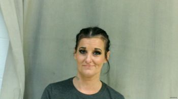 Sarah Michelle Lindsey Mugshot