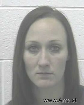 Sarah Elisa Johnson Mugshot