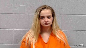 Savannah Marie Wilson Mugshot