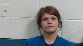 Savannah Marie Wilson Mugshot