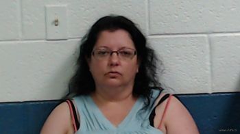 Shannon Leeann Boggs Mugshot