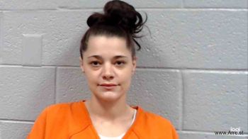 Shannon Lorene Lambert Mugshot