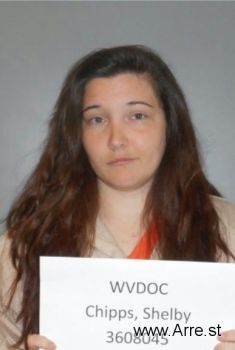 Shelby Lee Chipps Mugshot