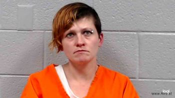 Sherrie Lynn Mckinney Mugshot