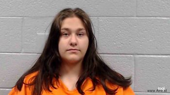 Skyler Elizabeth Brooks Mugshot