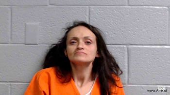 Stacy Lynn Ward Mugshot