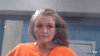 Stephanie Fern Adkins Mugshot