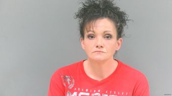 Stephanie Nicole Browning Mugshot