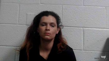 Stephanie Renne Mckinney Mugshot