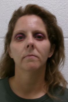 Stephanie Melinda Miller Mugshot