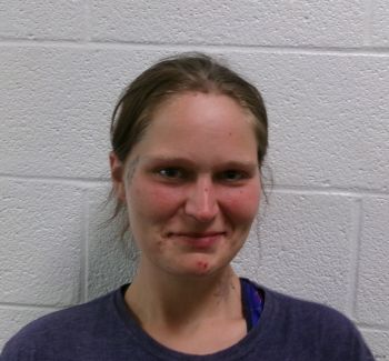 Stephanie Nicole Peterson Mugshot