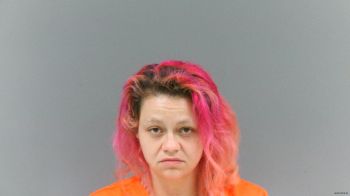 Stephanie Dawn Vannatter Mugshot