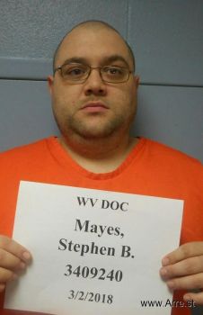 Stephen Brian Mayes Mugshot