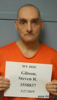 Steven Ray Gibson Mugshot