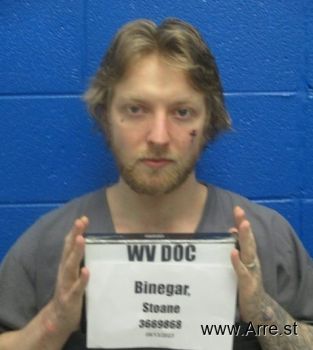 Stoane Mason Binegar Mugshot